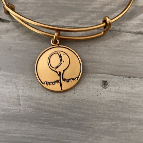 NWT ALEX AND ANI Golf-Tee-Gold-Plated - Picture 2 of 4